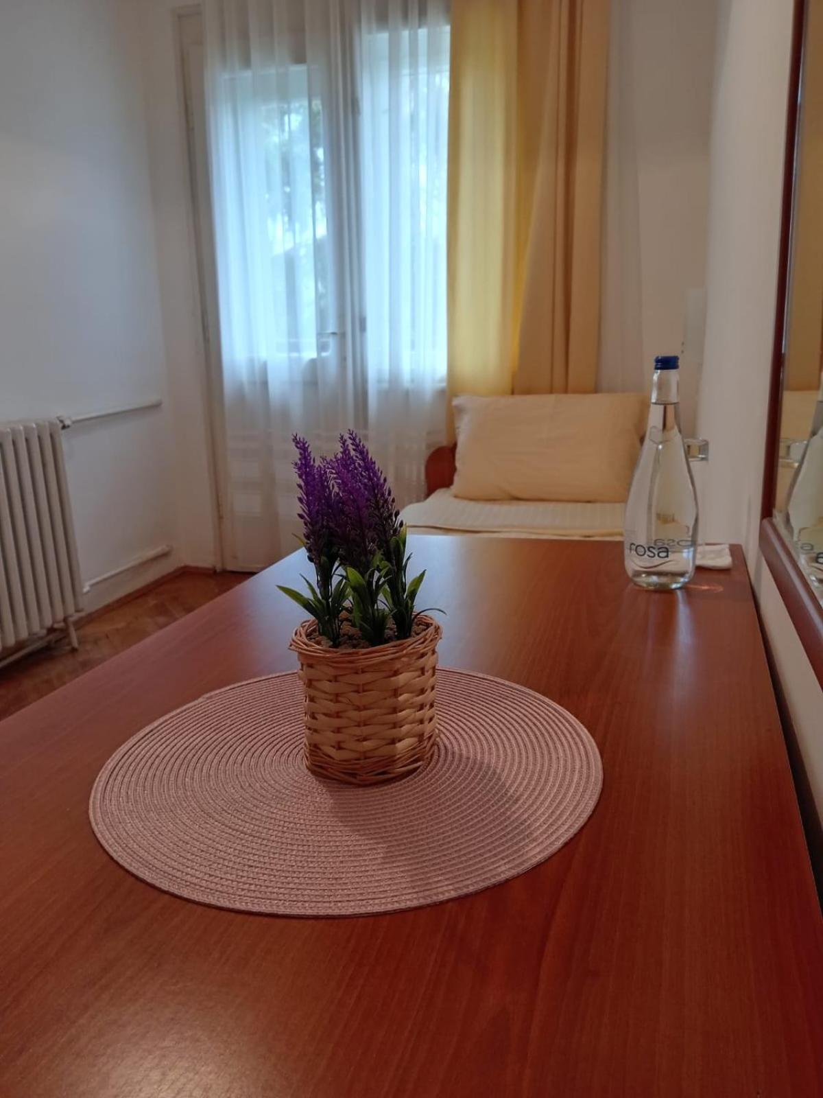 Hotel Vlasina - Vlasinsko Jezero Vlasina Rid Kültér fotó