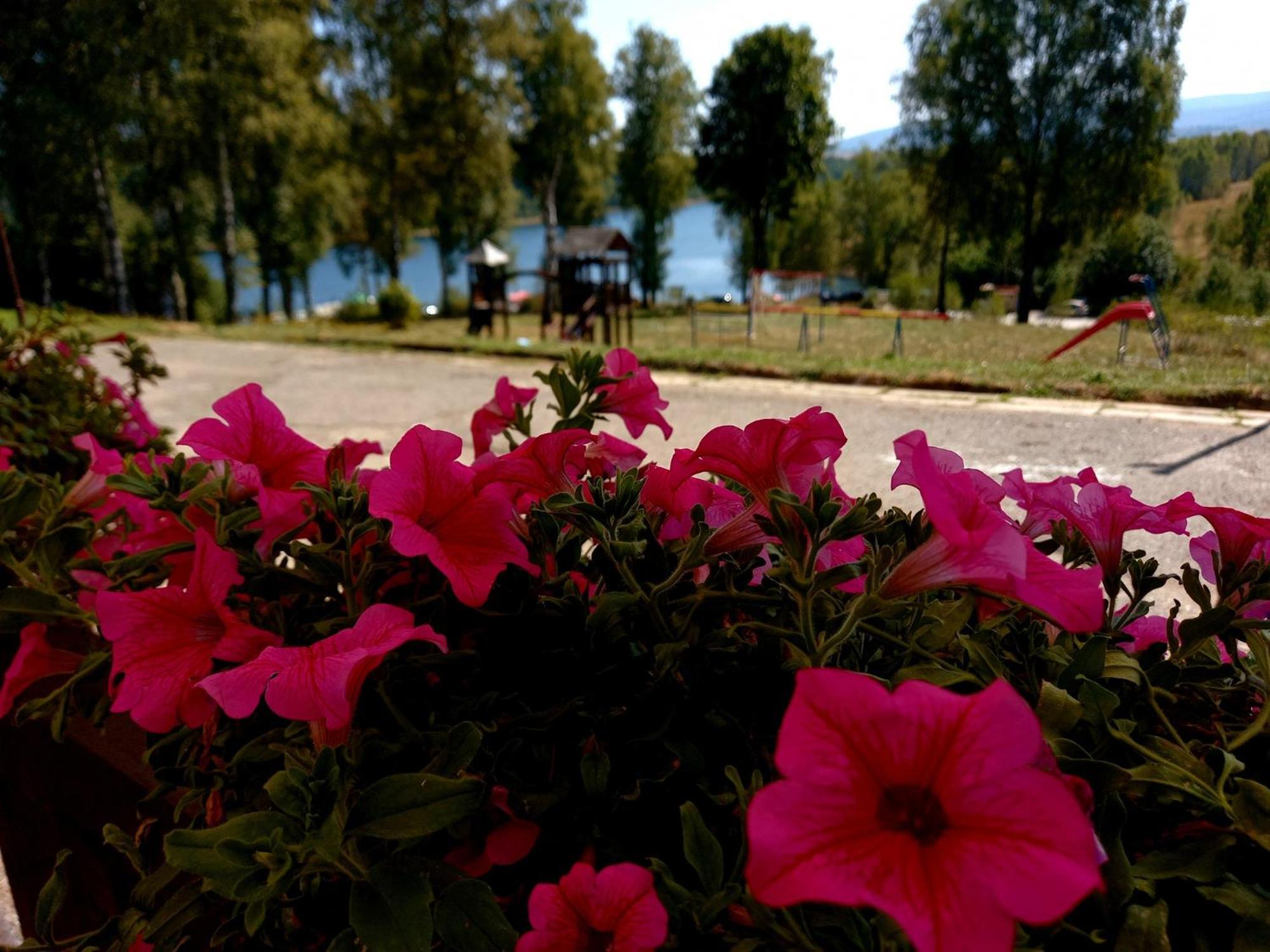 Hotel Vlasina - Vlasinsko Jezero Vlasina Rid Kültér fotó