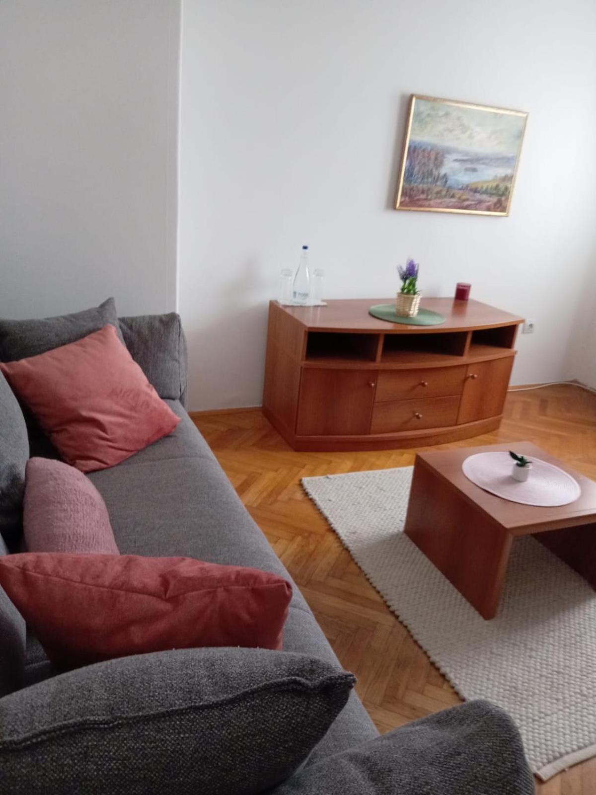 Hotel Vlasina - Vlasinsko Jezero Vlasina Rid Kültér fotó