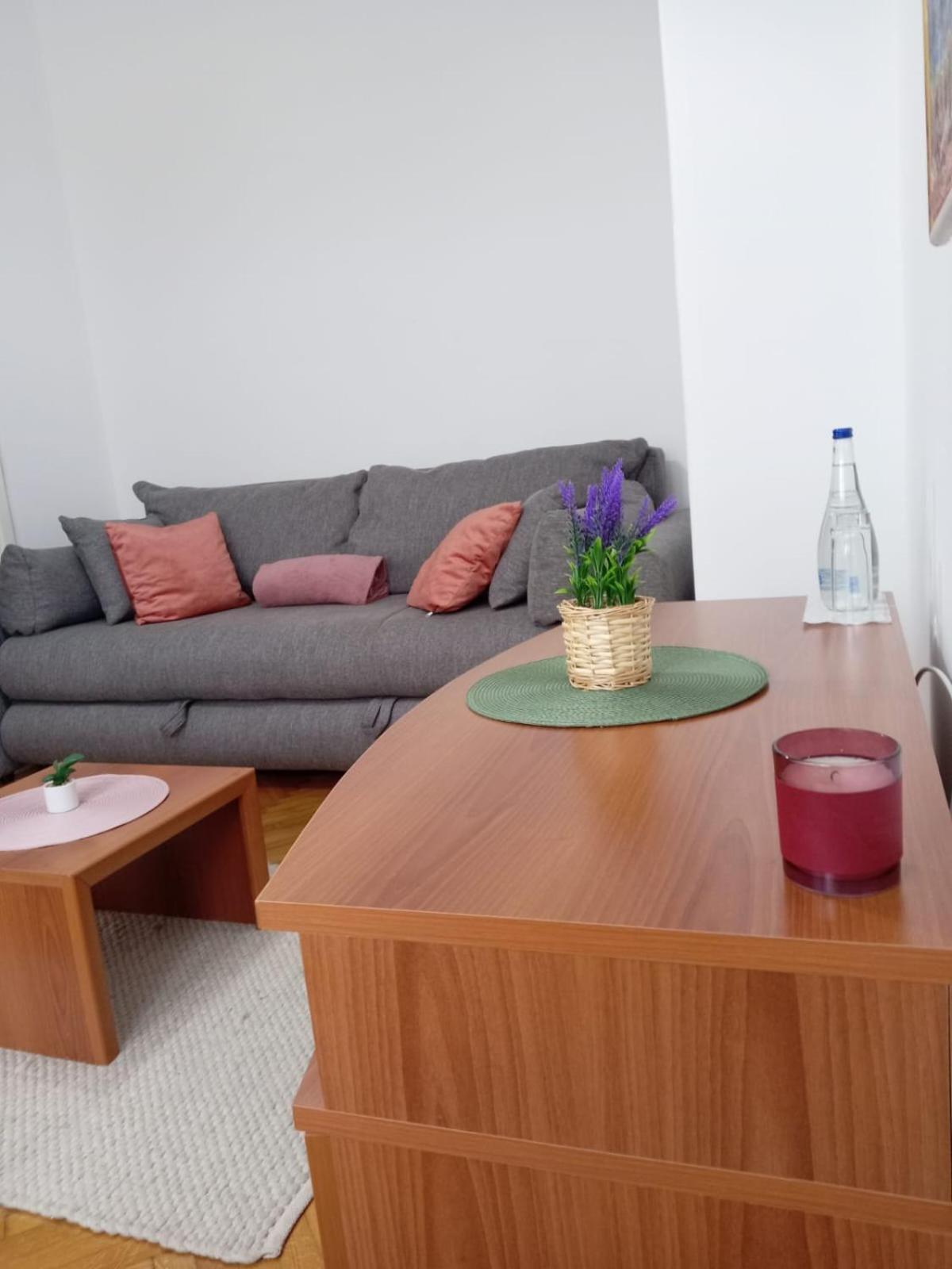 Hotel Vlasina - Vlasinsko Jezero Vlasina Rid Kültér fotó